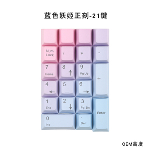 键帽馆PBT17 21键小键盘数字区黑彩虹妖姬灰白正刻侧刻dolch大碳