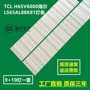 TCL H65V6000海尔LS65AL88K81灯条LED65D9-03(A) 30365009205灯珠