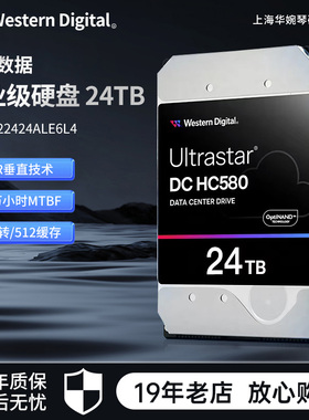 WD/西数 HC580 WUH722424ALE6L4 24TB 3.5寸服务器企业级硬盘24tb
