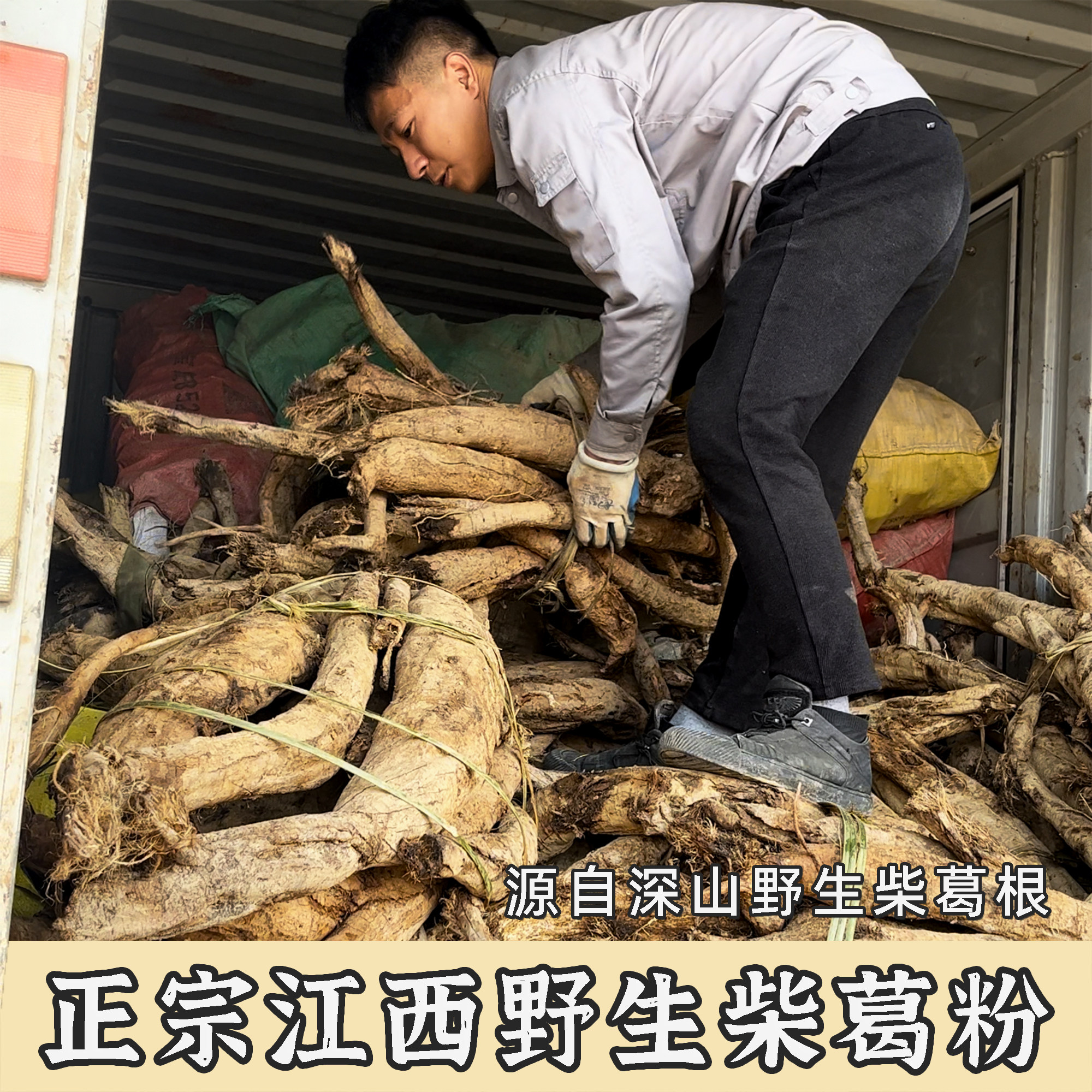 小波家野生葛根粉罐装500g天然纯正养颜解酒营养代餐自产自销包邮
