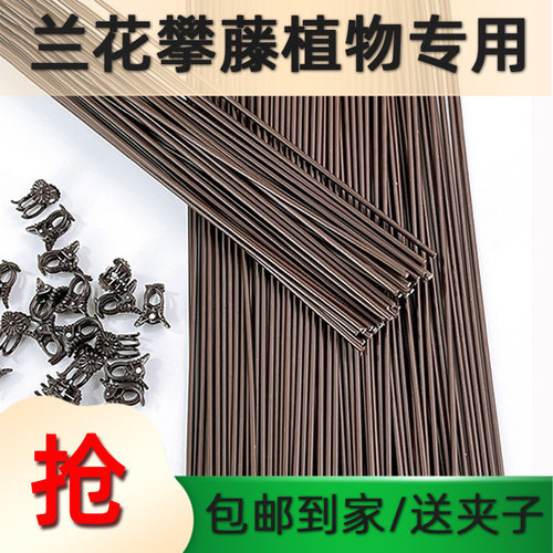禾家蝴蝶兰支架植物支撑杆送夹子