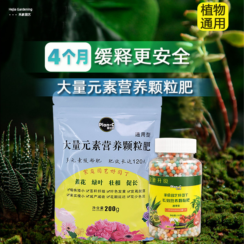 花卉绿植通用肥长效营养多肉绿萝通用家用水溶控释肥氮磷钾复合肥,鲜花速递/花卉仿真/绿植园艺,家庭园艺肥料,淘宝优惠券,粉丝福利购,淘宝优惠卷