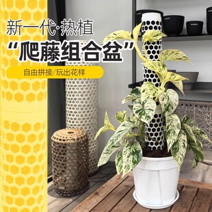 水苔柱花盆龟背竹热植专用白龟蔓绿绒可拼接新型植物攀爬柱支撑杆