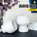 蝴蝶兰花花盆家用创意蘑菇树脂水培绿萝轻奢感懒人自吸水新款