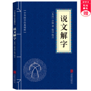 说文解字 上不封顶 小学生1 6年级适用 古代汉语字典古文字字典细说汉字大全集儿童小学生学习汉字书籍画说汉