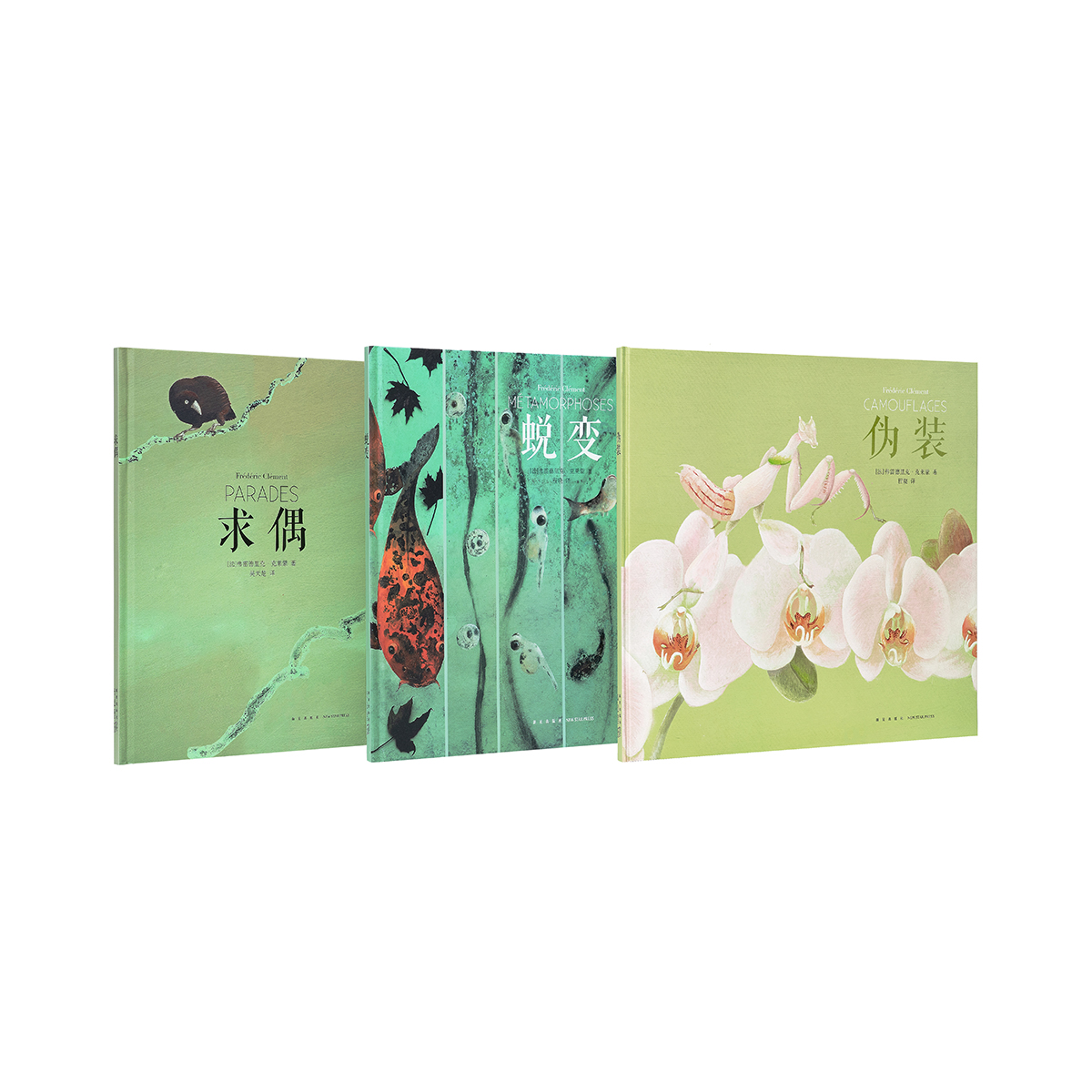 当天发《蜕变》《求偶》《伪装》