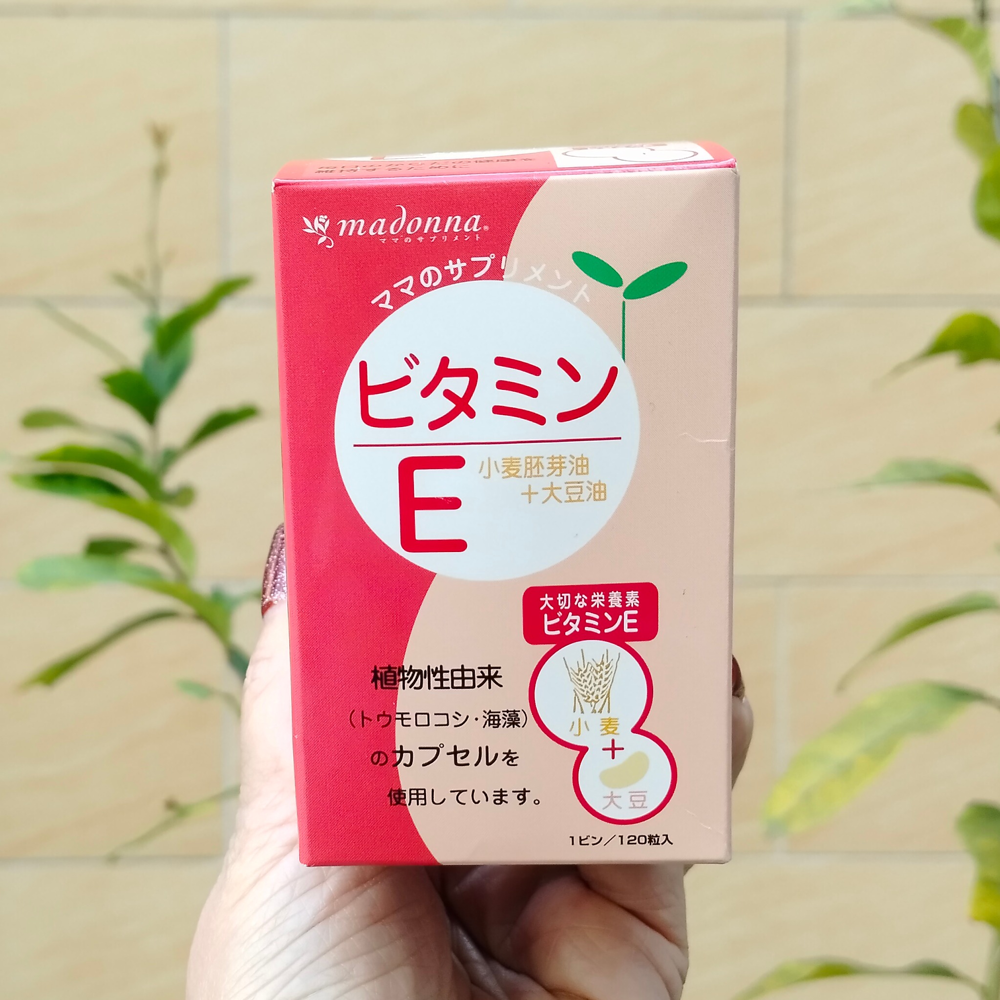 madonna维生命E母乳期孕期
