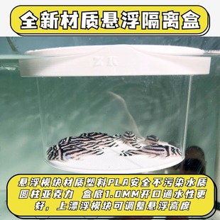 ZK出品悬浮式 隔离盒亚克力鱼缸隔离盒产卵器鱼卵隔离网异形孵化盒