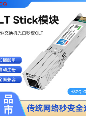 HSGQ鸿升光olt stick模块设备1分32GPON OLT模块化设备交换机转OLT模块GPON透传