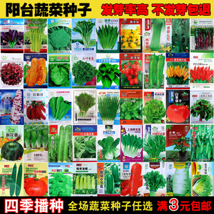 生菜家庭阳台盆栽庭院易种植草莓番茄黄瓜辣椒香菜籽 蔬菜种子四季