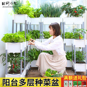 阳台种菜专用架子立体菜种菜专用箱顶楼阳台种菜神器草莓盆室内外