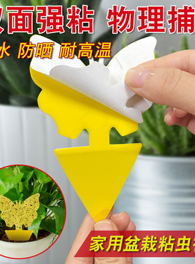 双面粘虫板黄板诱虫纸贴黄色小飞虫沾果蝇家用诱捕器粘板针蜂大棚