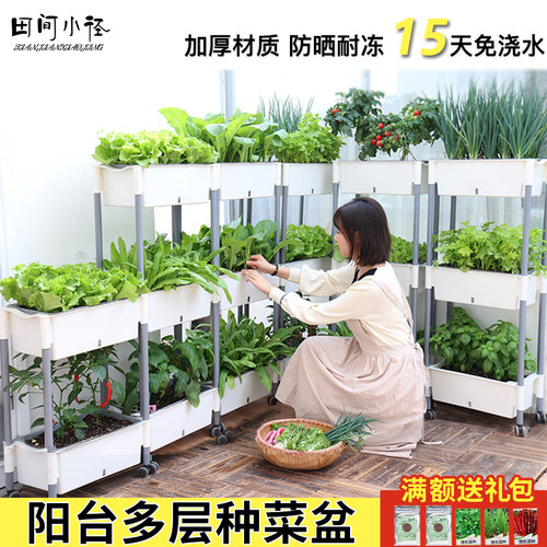 阳台种菜盆多层种菜架子懒人菜盆