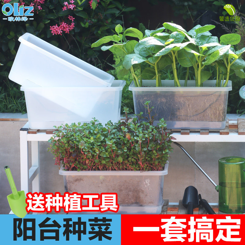 种菜专用盆蔬菜种植箱超窄窗沿花盆透明植物生长观察盒幼儿园盆栽,鲜花速递/花卉仿真/绿植园艺,花盆,淘宝优惠券,粉丝福利购,淘宝优惠卷