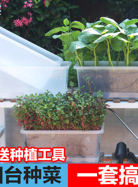 种菜专用盆蔬菜种植箱超窄窗沿花盆透明植物生长观察盒幼儿园盆栽
