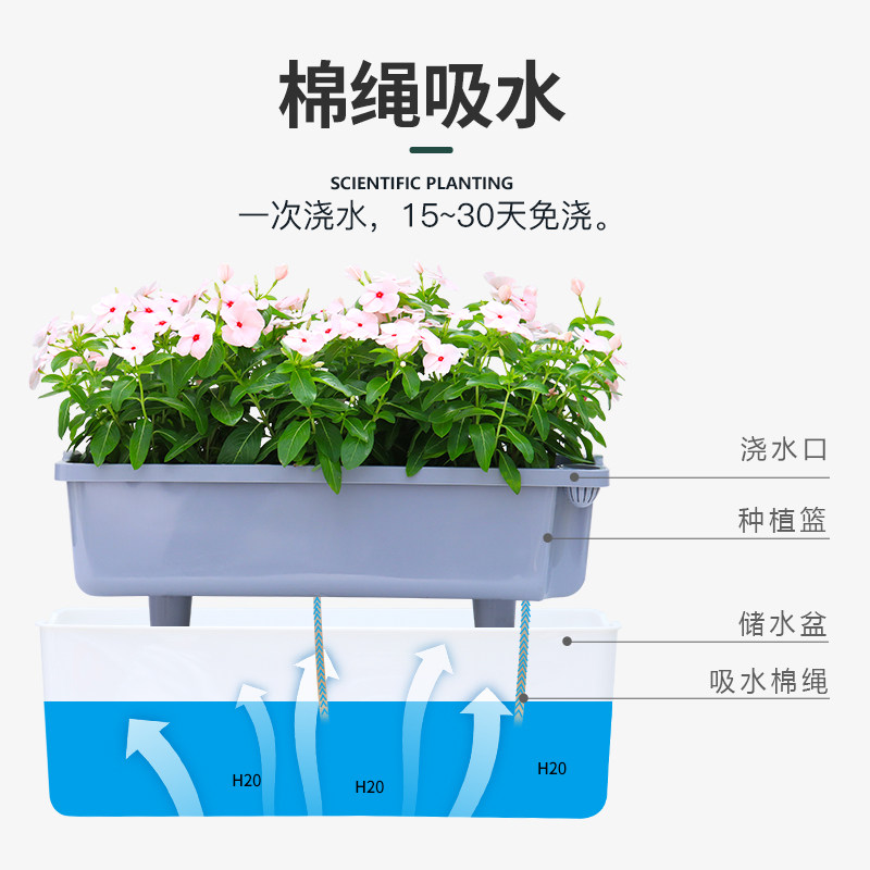懒人花盆种菜盆免浇水家庭蔬菜花卉种植箱大号长条塑料壁挂花盆