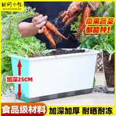 种菜盆阳台专用种菜箱大号加深长条花盆免浇水家庭蔬菜种植盆套餐