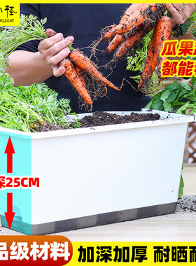 种菜盆阳台专用种菜箱大号加深长条花盆免浇水家庭蔬菜种植盆套餐