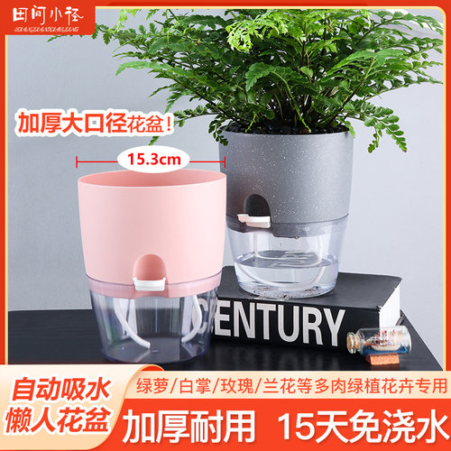 免浇水花盆塑料绿萝盆懒人花盆