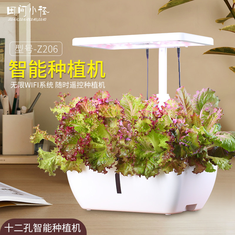无土菜培种菜机室植智能蔬菜种内机纯水培设备家庭种栽箱育苗花盆