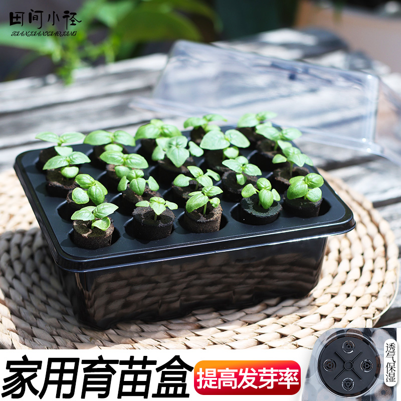 20孔育苗盒保湿透气育苗神器