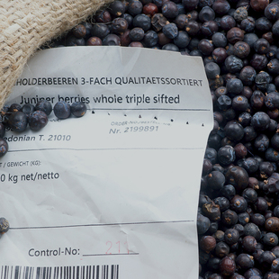 GIN金酒专用 精酿啤酒 马其顿杜松子100g杜松果现货 水刺柏果