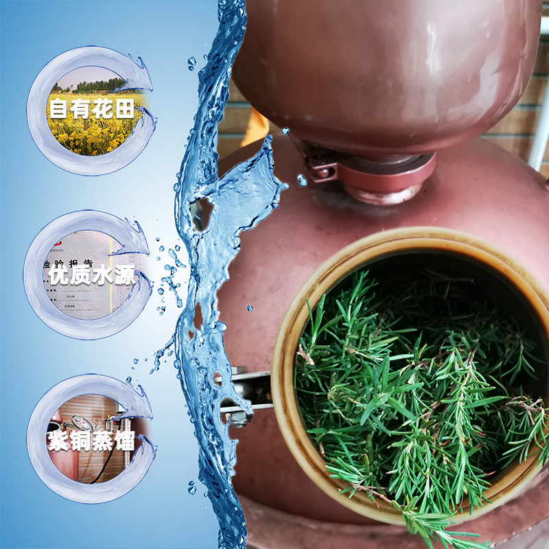 马鞭草酮迷迭香纯露鲜花芳疗