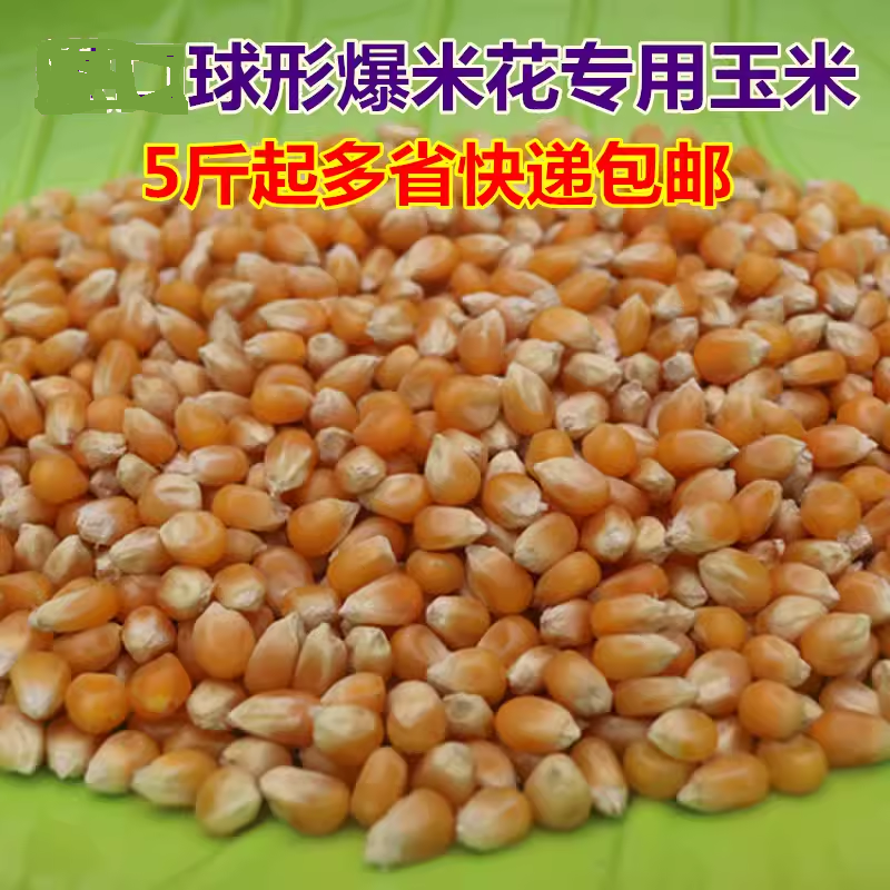 美式球形爆米花专用玉米