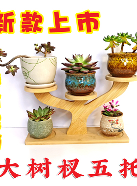 多层创意办公室阳台桌面实木摆件