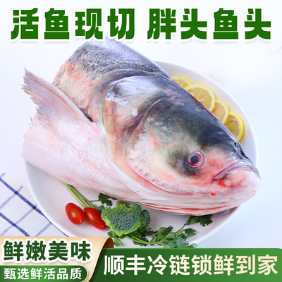胖头鱼头东北淡水湖冷水花鲢鱼头查干湖鱼乡冷水包邮