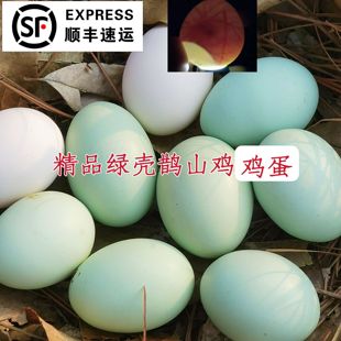 正宗绿壳鹊山鸡蛋现捡现发新鲜顺丰包邮邵阳产地直发