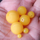 蜜蜡中黄圆珠饰品配件配饰隔珠佛珠金刚手链散珠树脂仿鸡油黄散珠