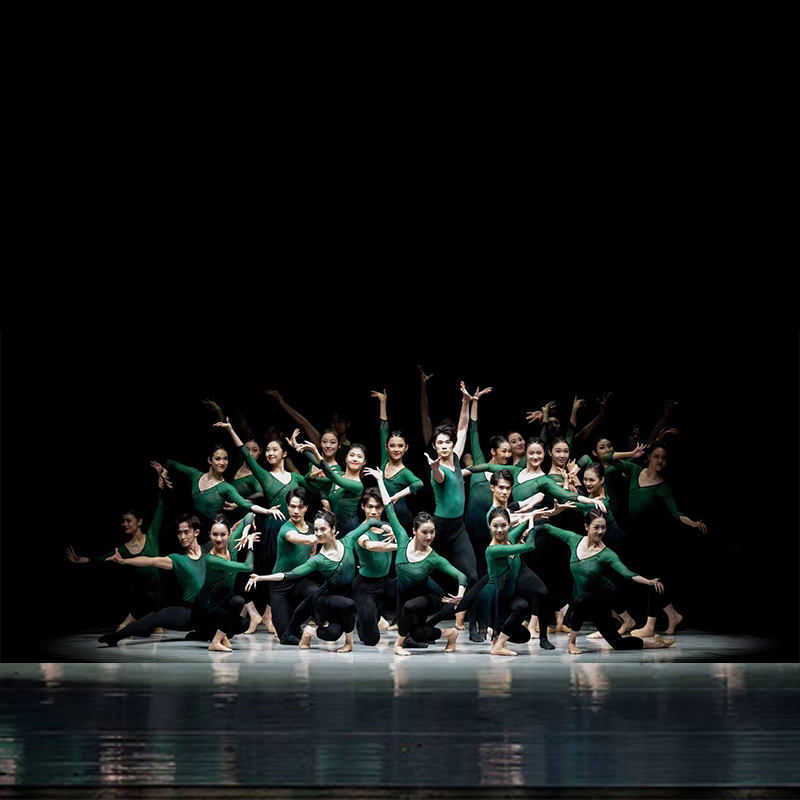 舞依艺库古典舞纱衣加钻班服新款