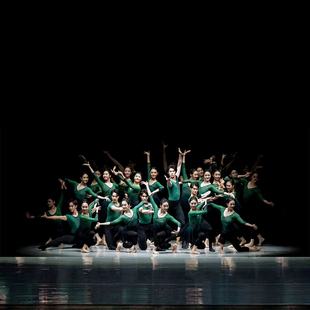 舞依艺库纱衣舞蹈古典新款 舞上戏组合练功服基训班服加钻艺术艺考