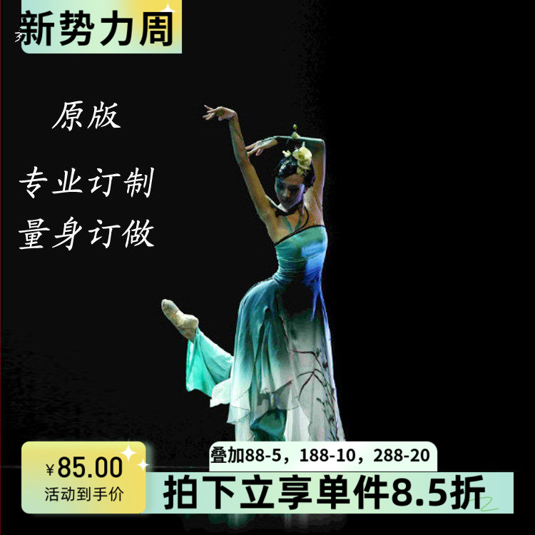 专业订做桃李杯舞蹈《空谷幽兰》女子独舞舞蹈表演演出服装民族服