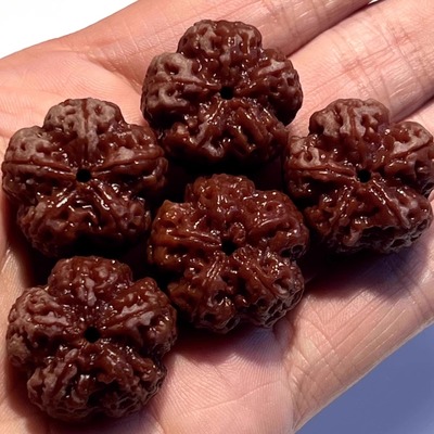 大金刚菩提手串一串满肉梅花蜂窝