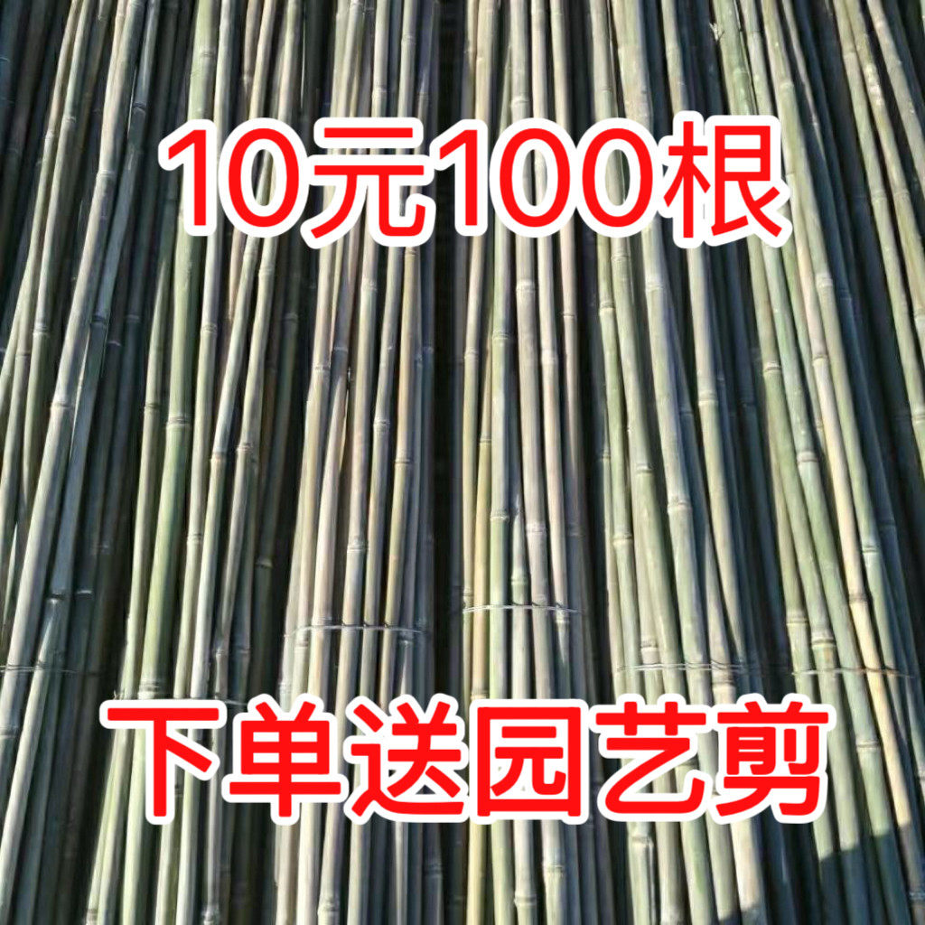 竹竿菜园搭架蔬菜爬藤竹杆豆角黄瓜葡萄番茄彩旗竿竹杆子搭架