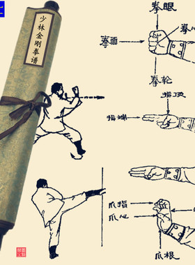 武术招式挂图奇拳怪招