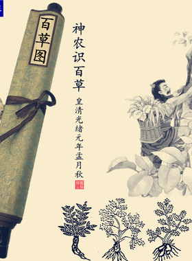 本草纲目图中草药材识别经络挂图