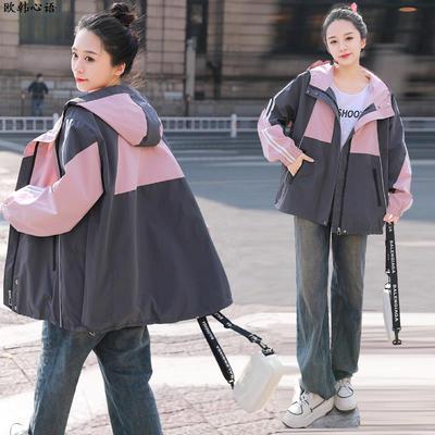 运动户外风衣外套女春秋大码休闲超火冲锋衣2025新款今年流行爆款