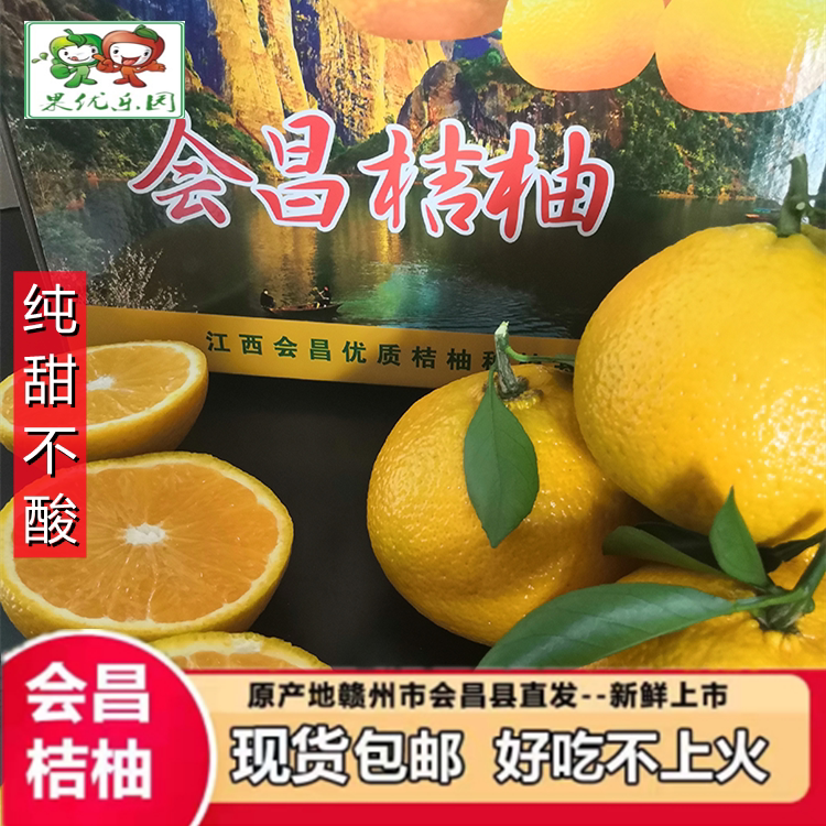 精品江西会昌甜桔柚10斤会昌桔柚桔子柚子纯甜水果 非庆元建阳