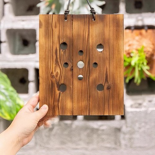 鹿角蕨上板鹿角蕨碳化板鹿角蕨挂板鹿角蕨板植挂板鹿角蕨定值板