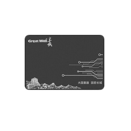 长城GW600固态硬盘256G/512G台式机笔记本电脑SSD硬盘