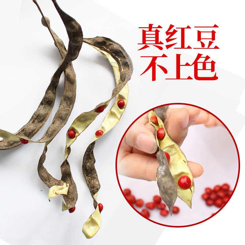 天然相思豆散珠手工diy手串材