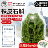 雁荡山铁皮石斛苗软脚盆栽组培苗母苗铁皮枫斗种子瓶苗可食用幼苗
