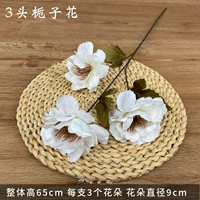 3 гардении (белые)