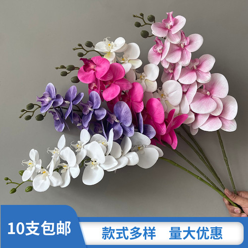 仿真白色9头手感蝴蝶兰婚庆花艺