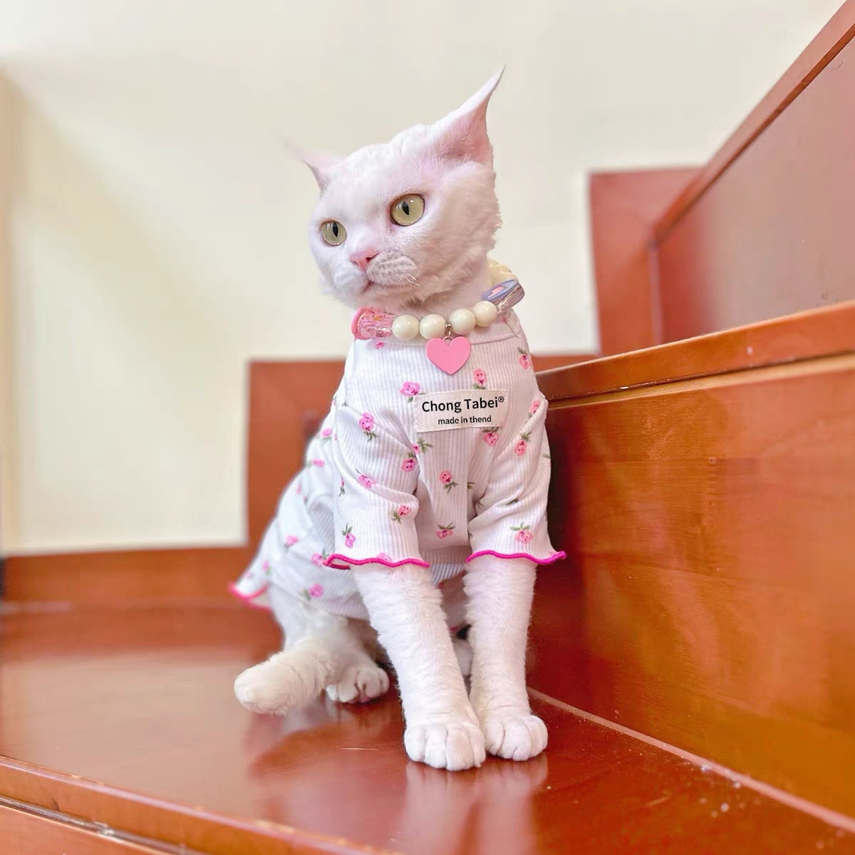 德文衣服夏季新款小碎花弹力透气薄款无毛猫同款可爱衣服狗狗同款