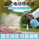 热销手持电动喷壶家用园艺浇花浇水自动喷水壶消毒喷雾器