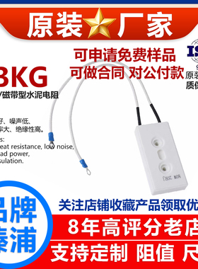 BKG磁带水泥电阻预充变频器启动陶瓷80W10R30R40R50R75RJ100欧姆